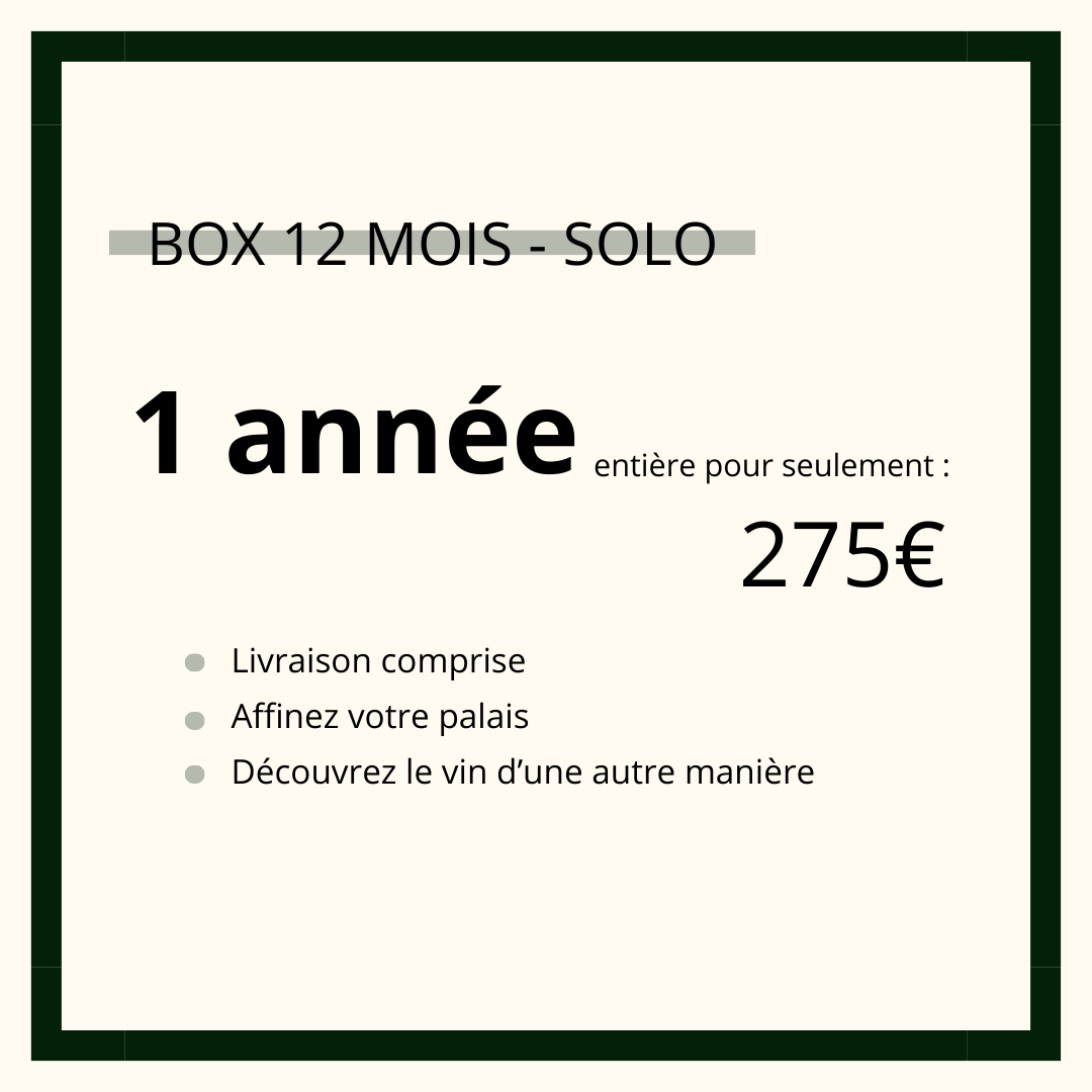 12 month subscription - solo