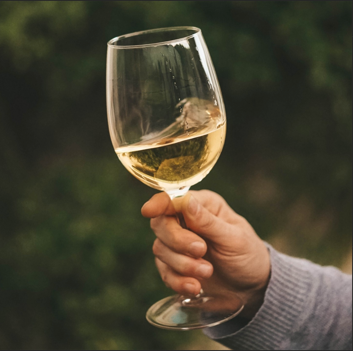 Les Vins Blancs